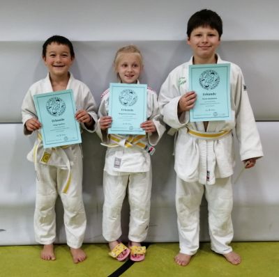 Zweimal Gold, einmal Bronze für Aiblinger Judokids