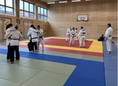 Kata-Lehrgänge Nage-/Ju no kata in Miltach