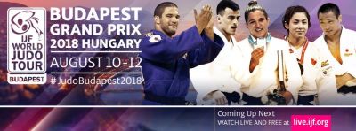 Grand-Prix in Budapest: Letzter Test vor der WM