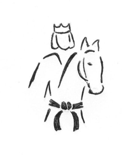 Bundessichtungsturnier "Domreiter" Bamberg Mu17