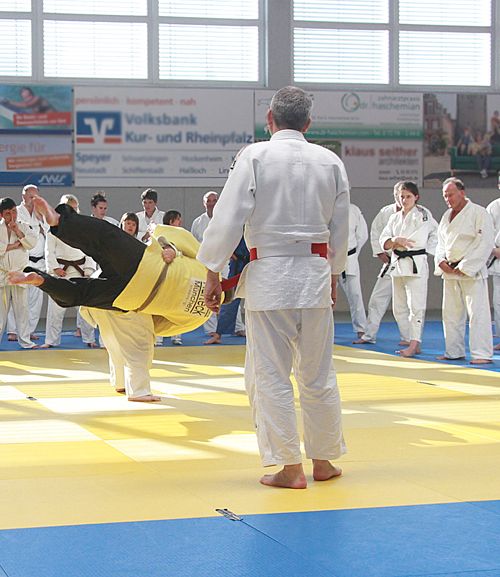 Fachkundige Anleitung in ID-Judo
