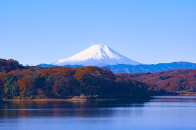 Fanreise zur WM nach Japan