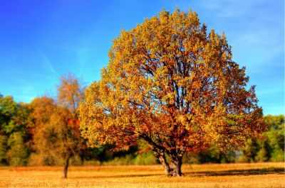 Herbstzeit = Lehrgangszeit